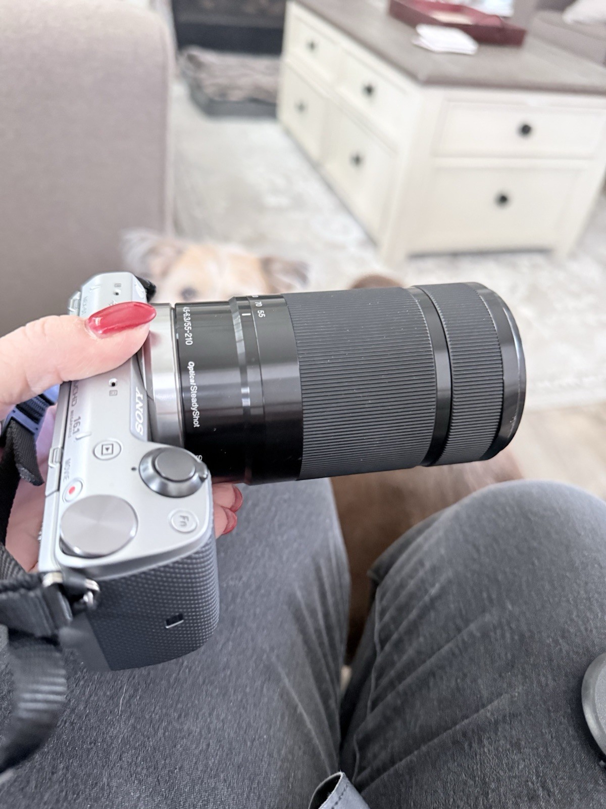 Sony Alpha Camera Bundle with 55-210mm Lens & LCS-U21 Carrying Case
