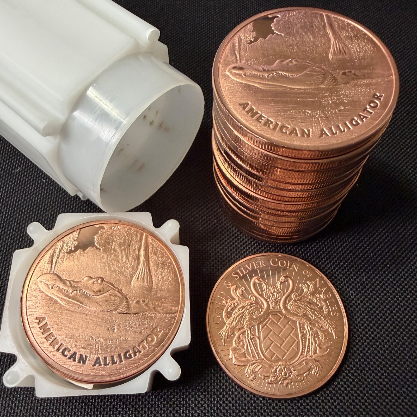 20 oz Copper Rounds .999 Fine American Alligator Wildlife Design w/ Tube Lot