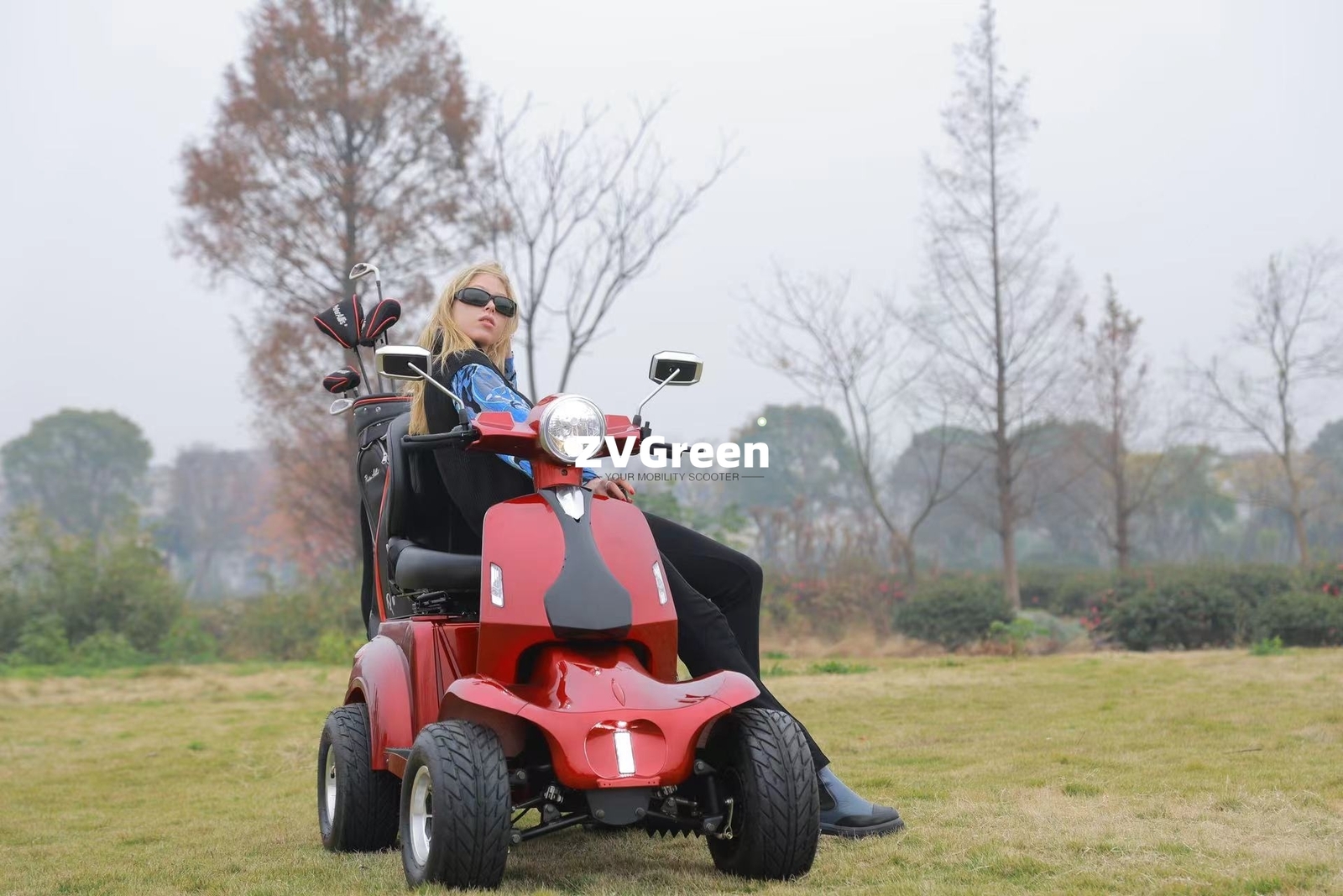1000W Electric Golf Mobility Scooter Four Wheel Travel 60V 20AH for Adult Senior