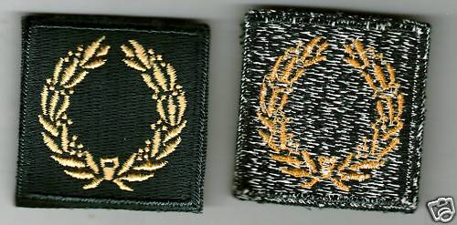 ARMY DISTINGUISHED UNIT CITATION SLEEVE PATCH 1st AWARD - NOT SURE OF AGE