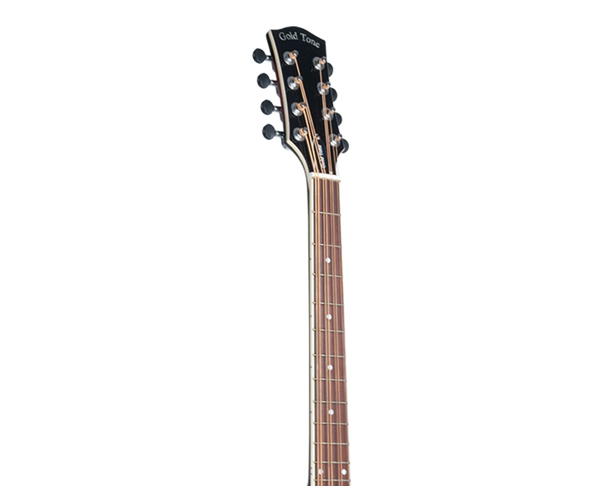 Gold Tone Mandocello - Open Box