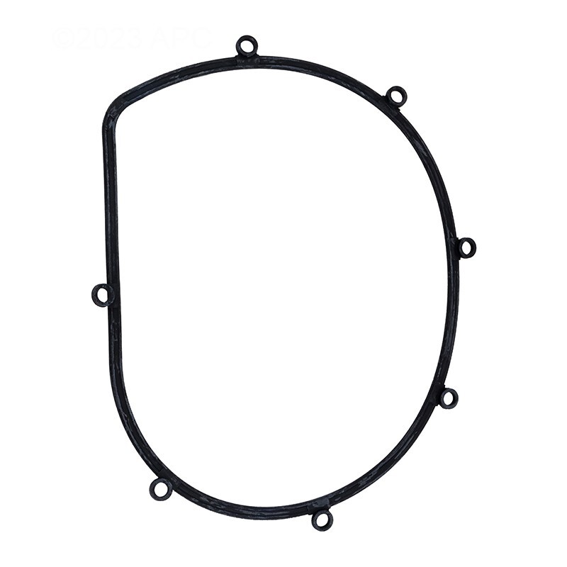 Speck Gasket for Seal Plate,  21-80 All Models,  2923141010  NEW