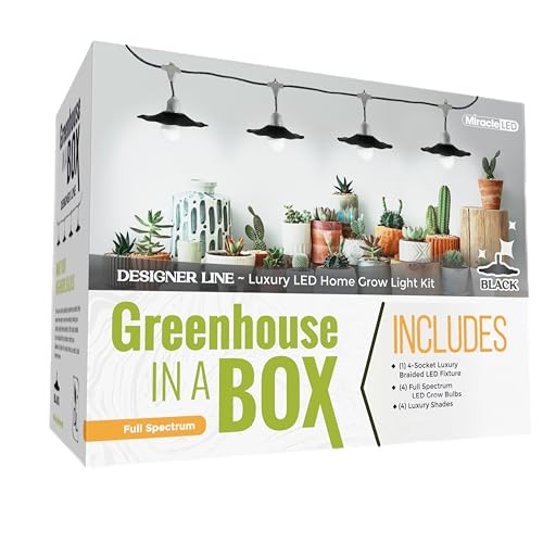 Grow with Elegance 4-Socket & Black Shade (4KK Full Spectrum Edition)