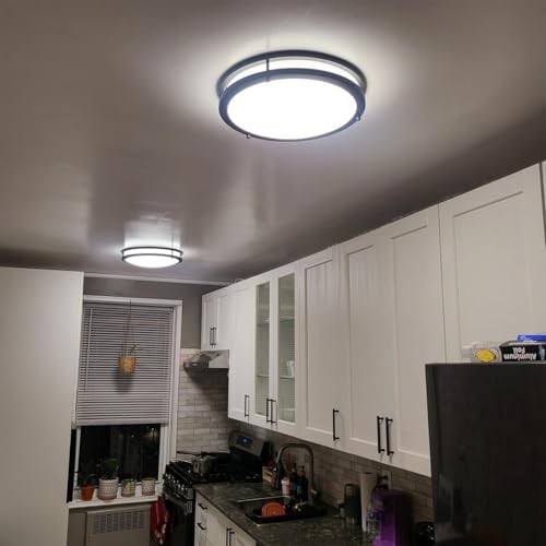 LED Ceiling Light with Remote 2 Pack 16 Inch Flush 16inch 2Pack Matte Black