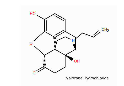 Naloxone Hydrochloride 1 Gram USP Grade CAS# 357-08-4
