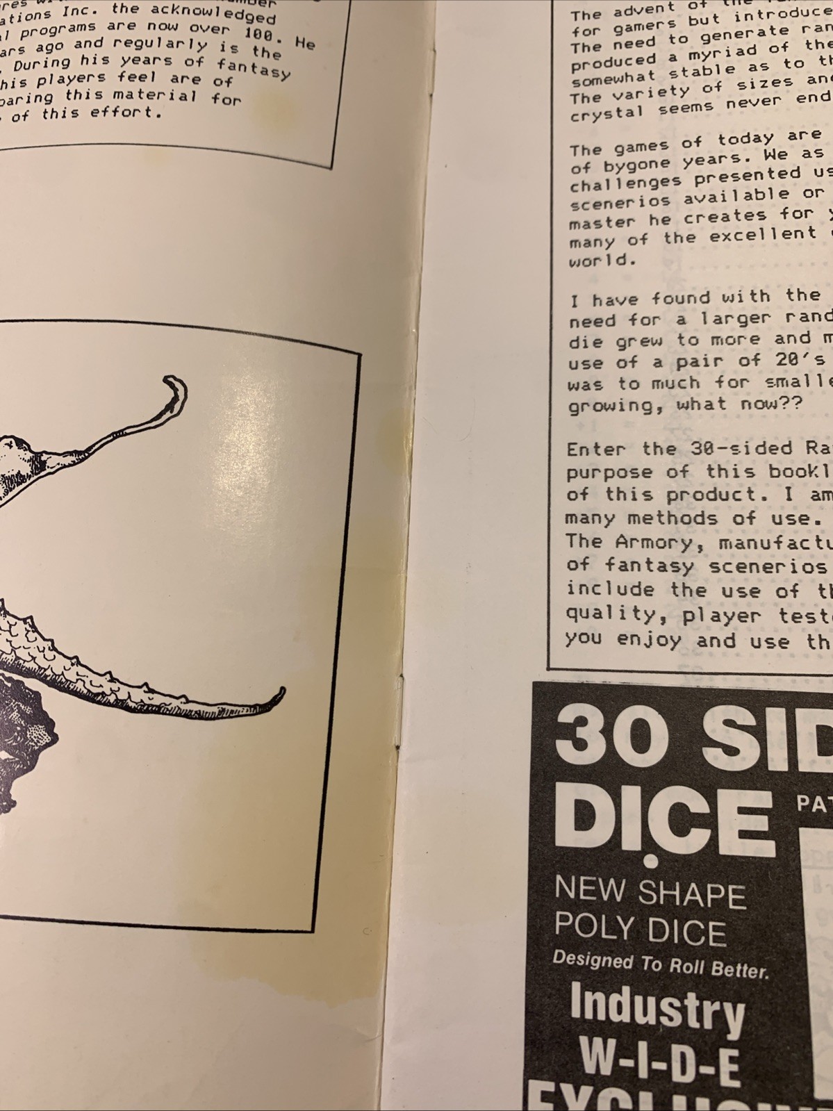 Armory 30 Sided Dice Gaming Tables 1982