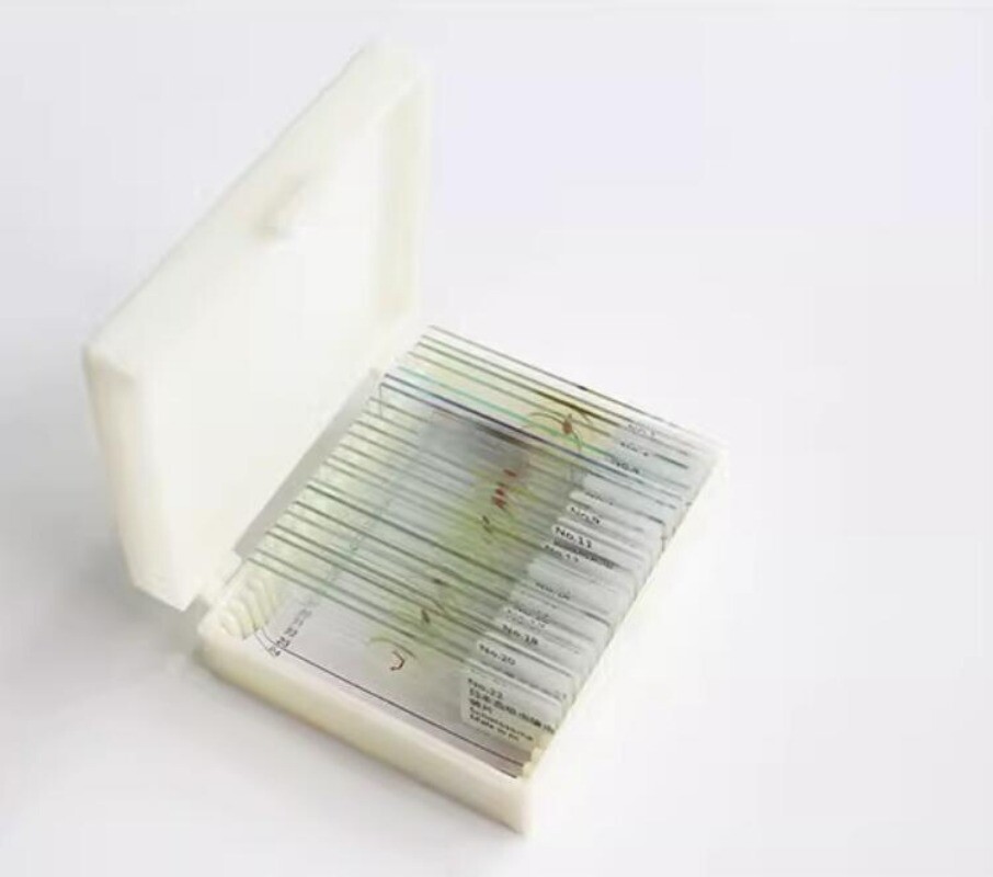25pcs Parasites Microscope Specimen Slides for Parasitology Teaching Research