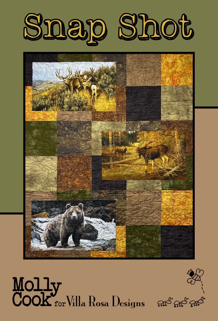 Snap Shot Quilt Pattern