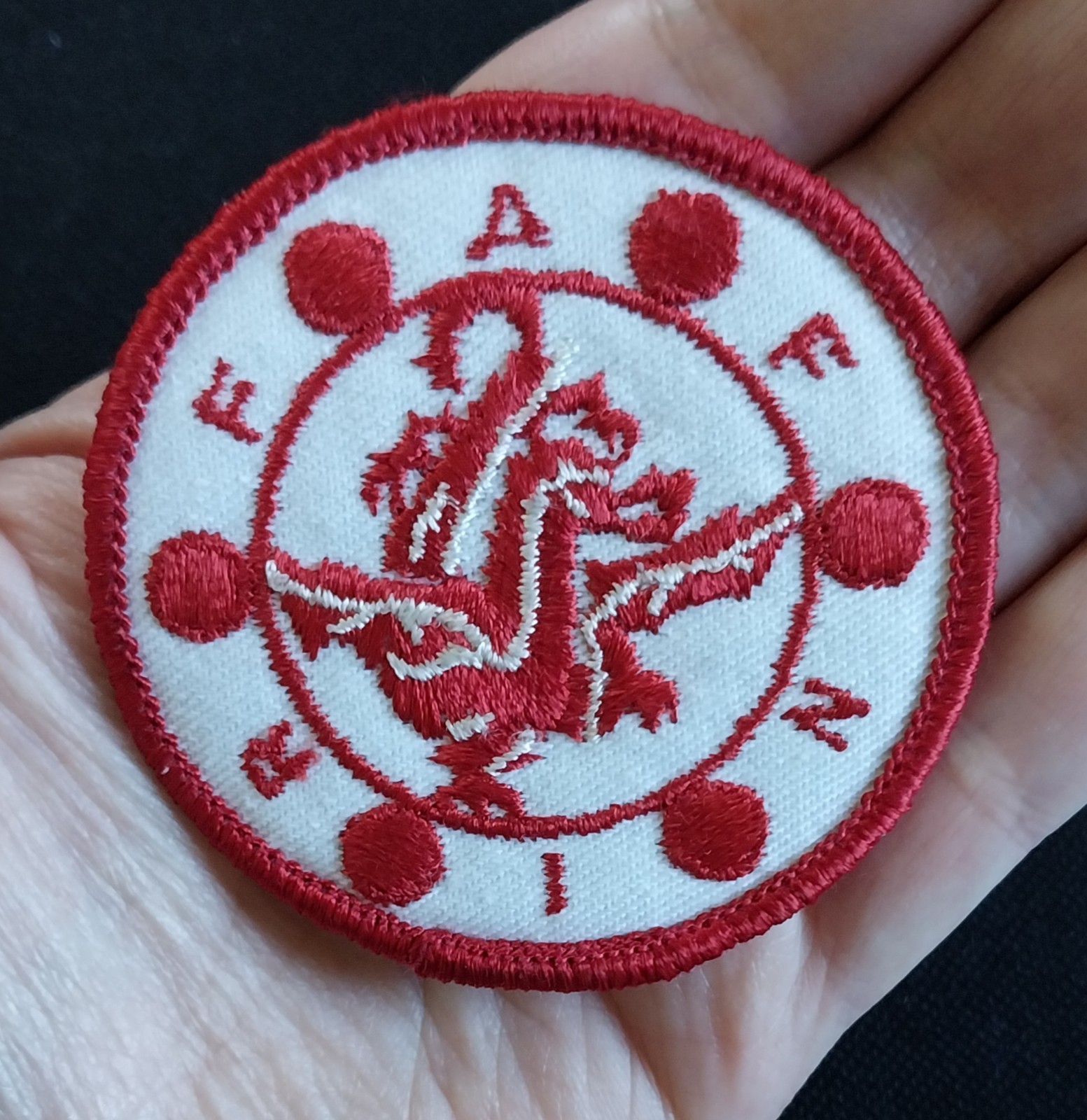 RARE FAFNIR DRAGON Norse Mythology EMBROIDERED SHIRT VEST JACKET HAT PATCH