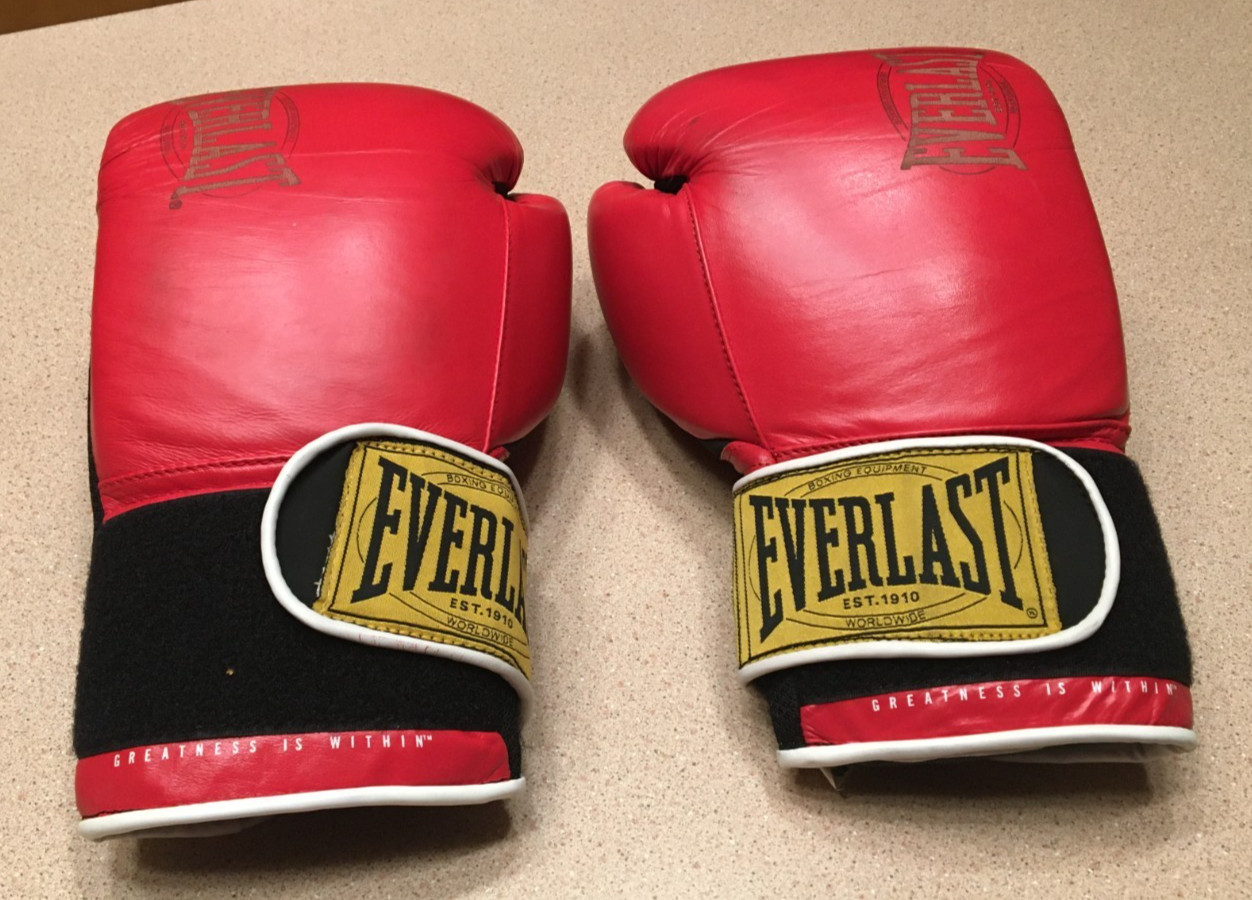 GORGEOUS EVERLAST 1910 CLASSIC TRAINING PREMIUM LEATHER BOXING GLOVES 16OZ.