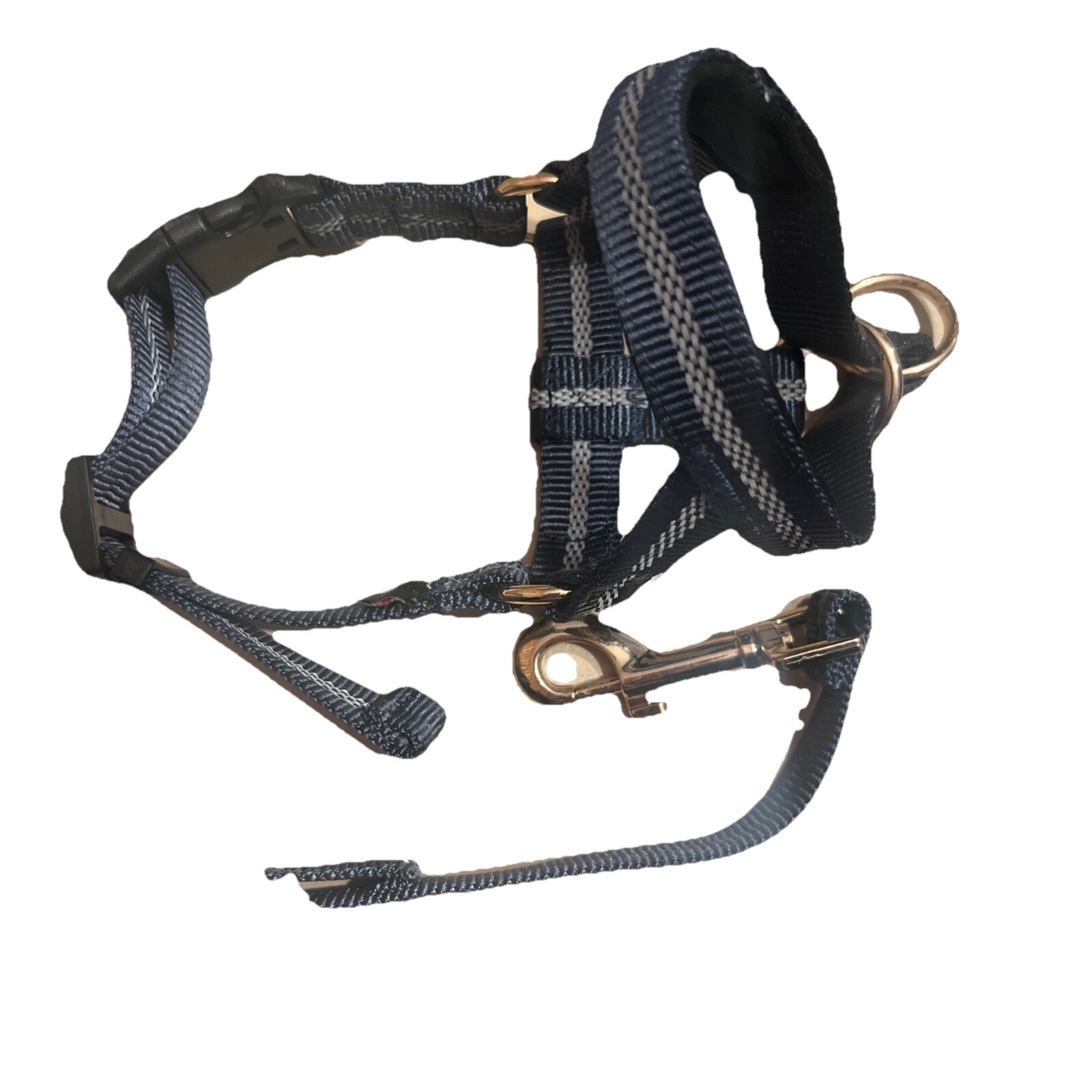 Barkless Headcollar Seatbelt Small🐶🐶🐶🐶🐶
