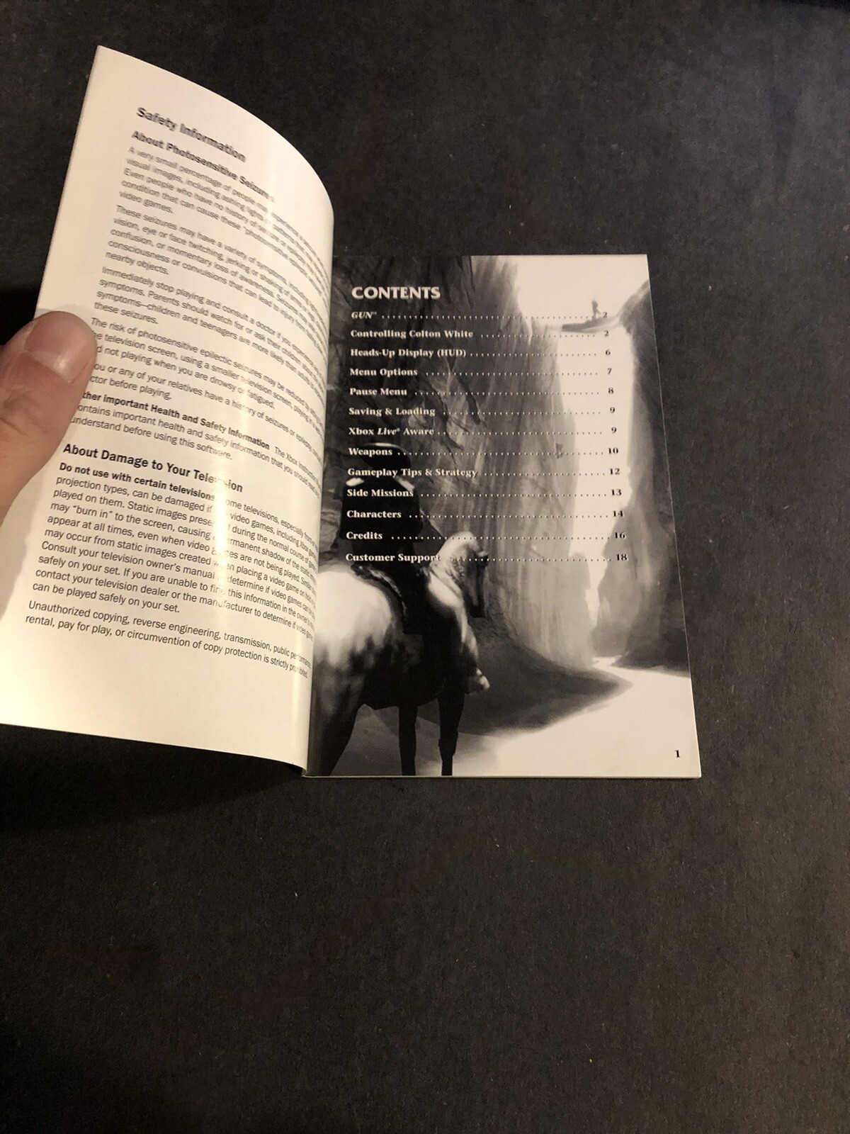 Gun xbox Manual Only