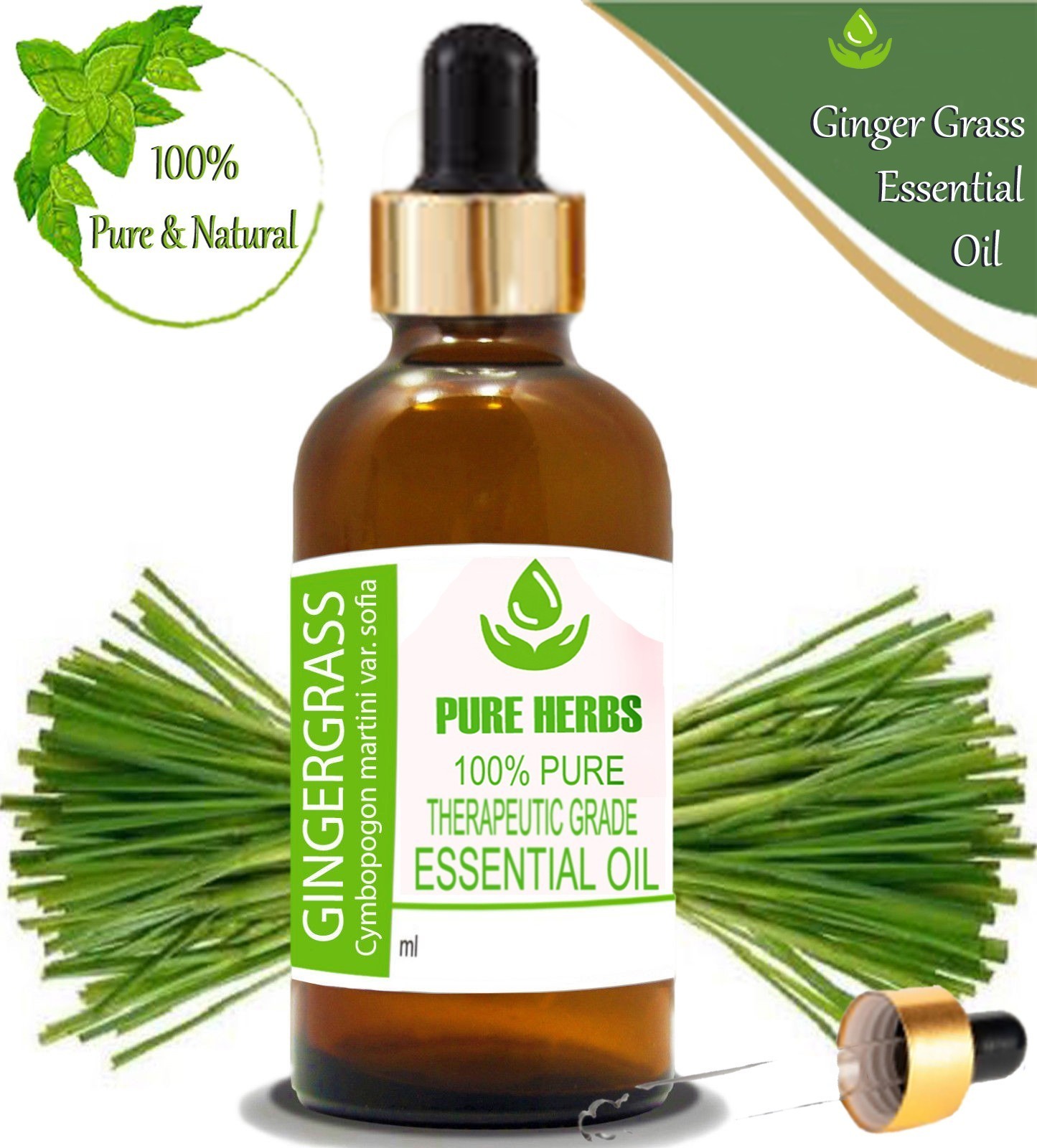 Pure Herbs Ginger Grass 100% Pure Cymbopogon Martini Essential Oil Glass Lm489