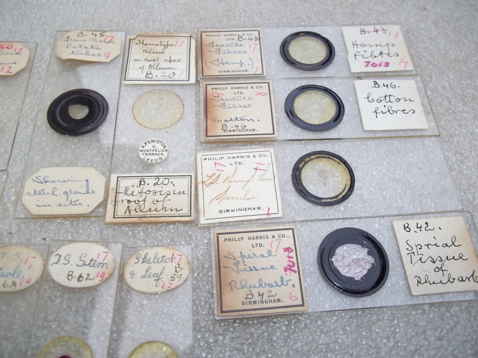 Vintage Glass Microscope Slides -