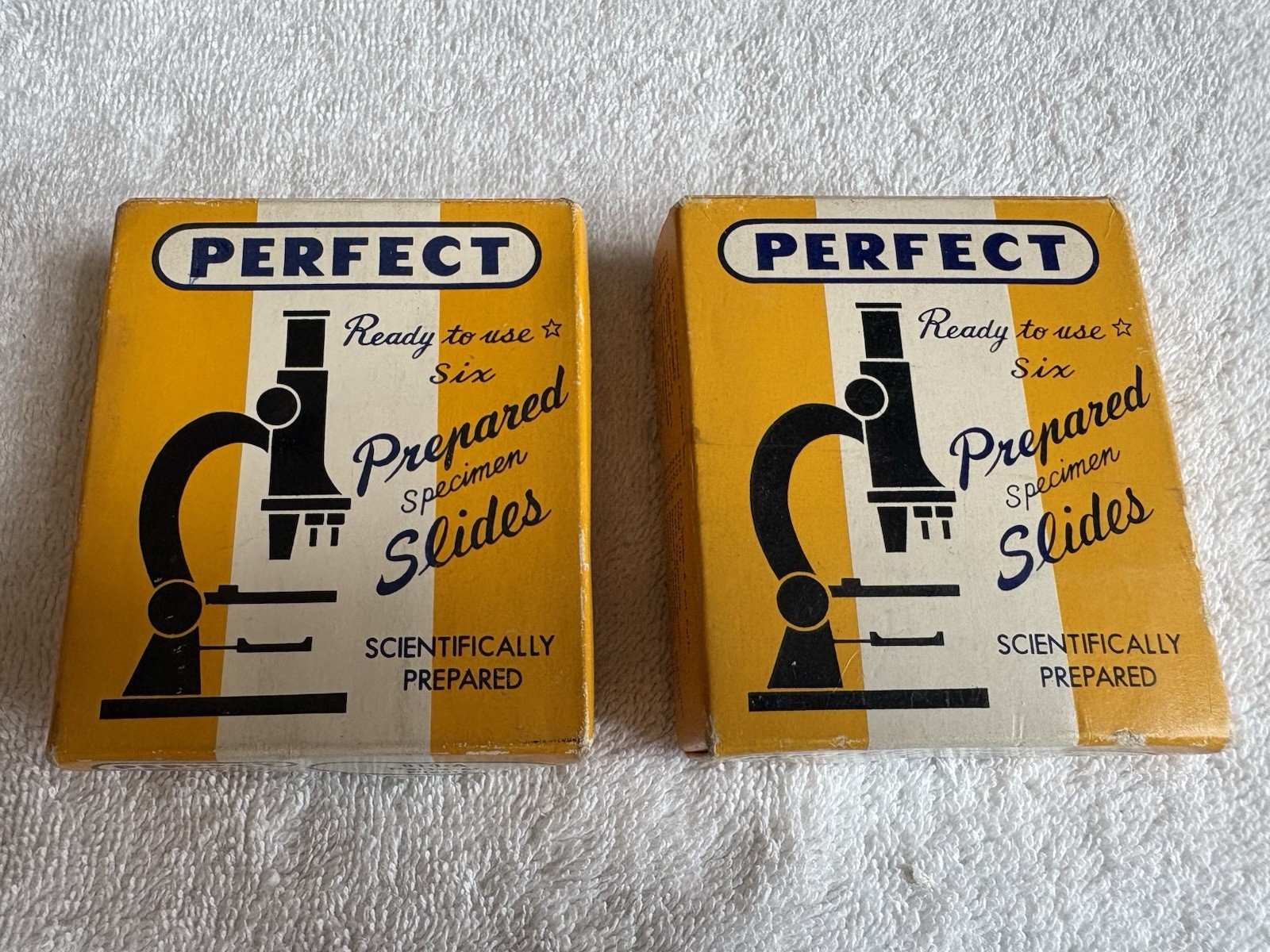 Vintage (2) PERFECT Prepared Specimen Slides w/ Box Microscope Bacteria & Plants