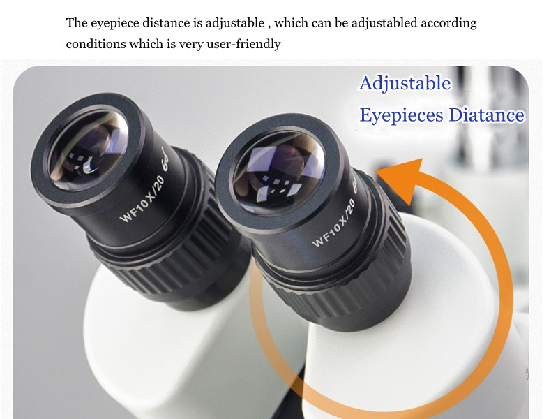 Dental Chair Operating Microscope with Camera 5W LED Light Endodontic Microscope