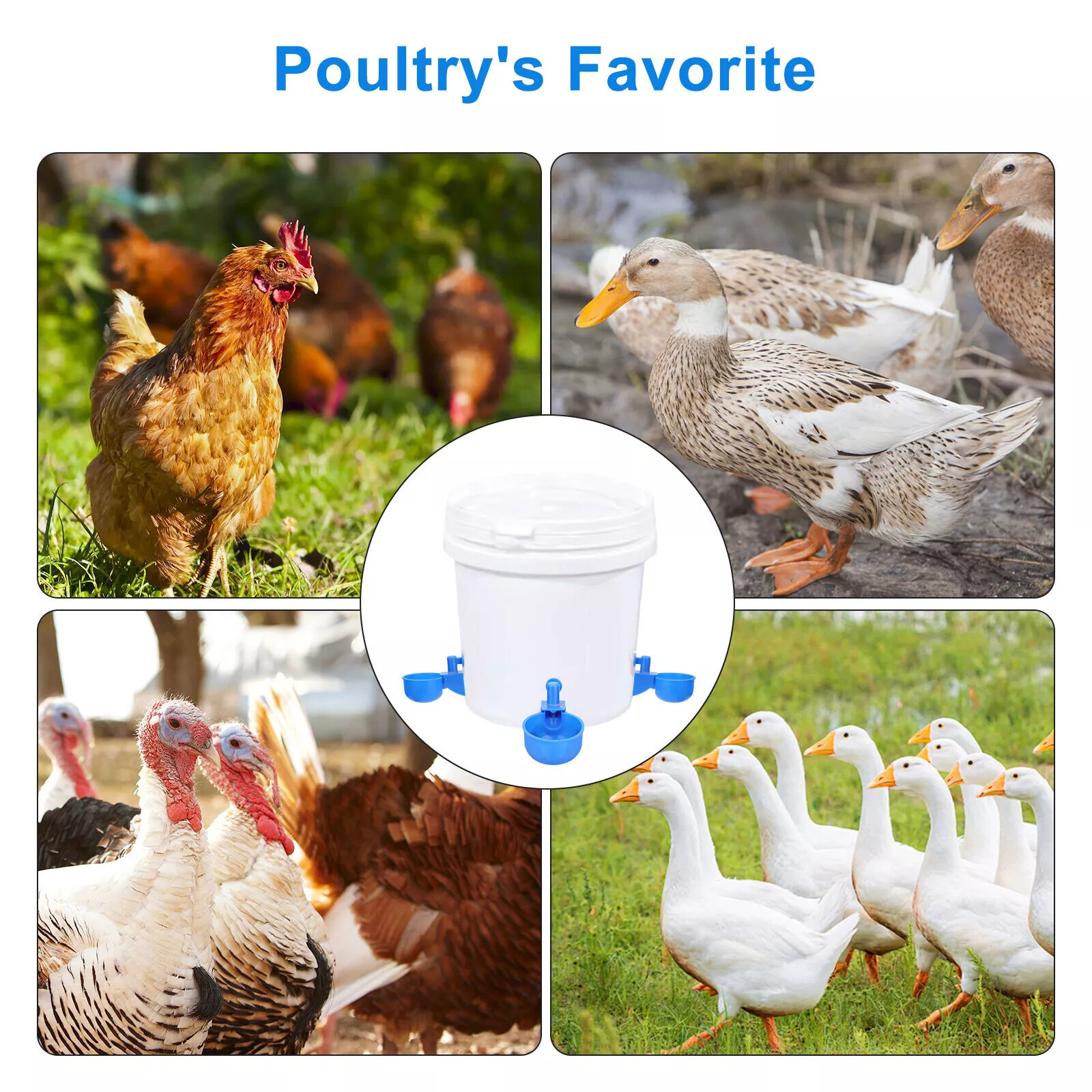 12Pcs Automatic Water Cups Poultry Drinker Waterer Chicken Duck Quail Drinking