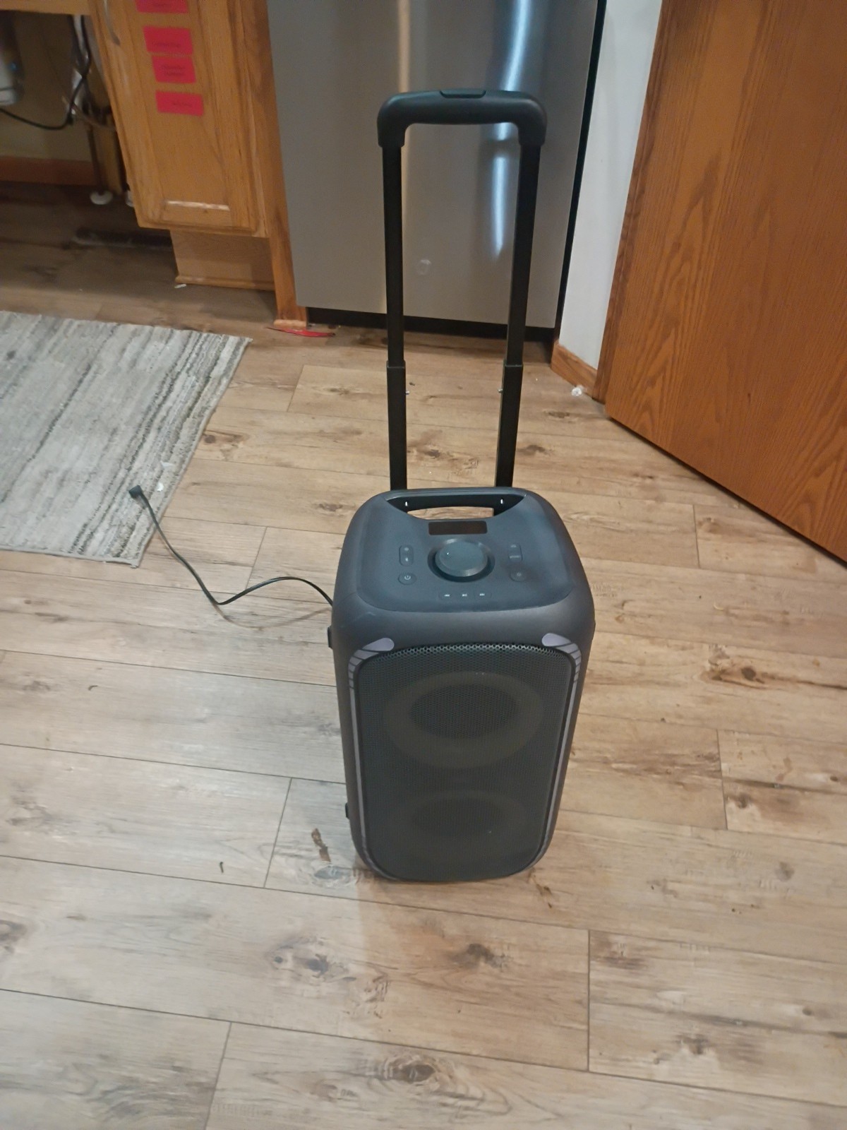 Karaoke Machine Bluetooth Two Microphones One Speaker