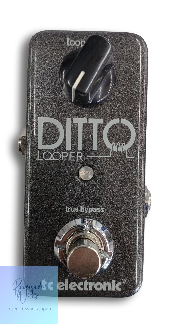 TC ELECTRONIC DITTO LOOPER Effects Pedal Loop Station Used JP