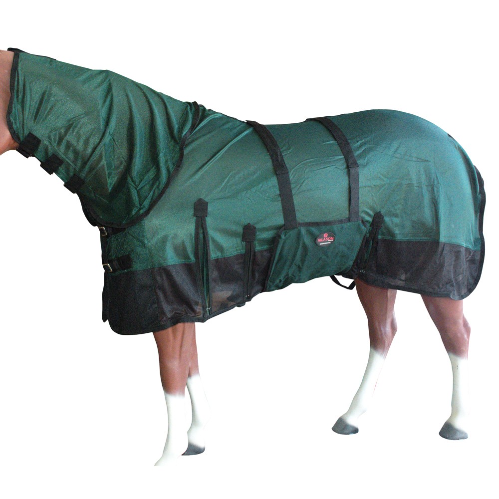 HILASON Horse Fly Sheet UV Protect Breathable Mesh Bug Mosquito Spring | Summer