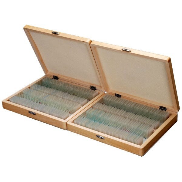 AmScope 200 Piece Set of Prepared Microscope Glass Slides with Wood Case