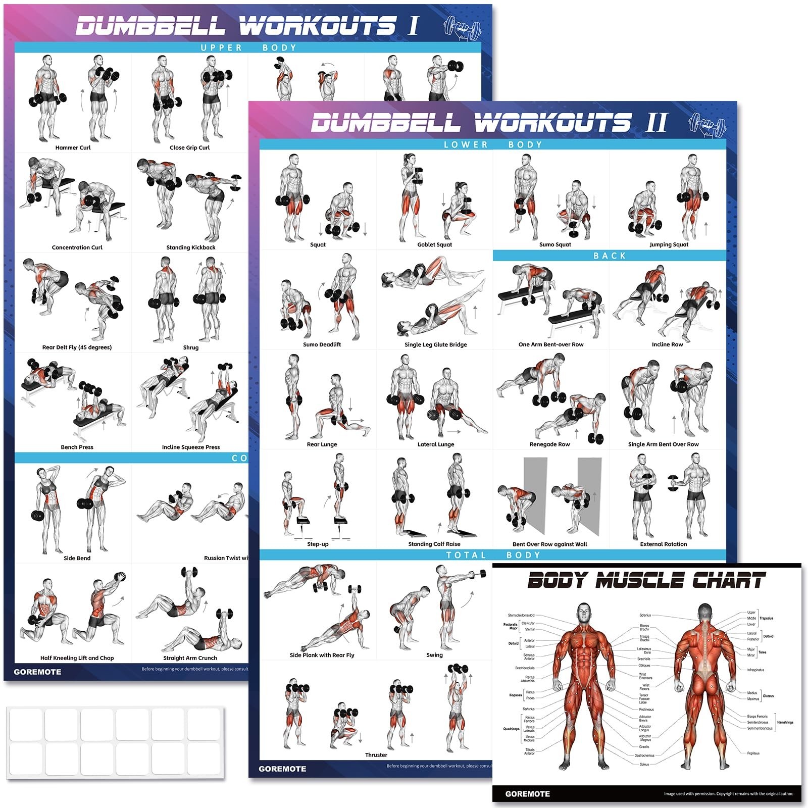 goremote Dumbbell Workout Poster Set (2 Pack) for Home Gym Exercise | Volume ...