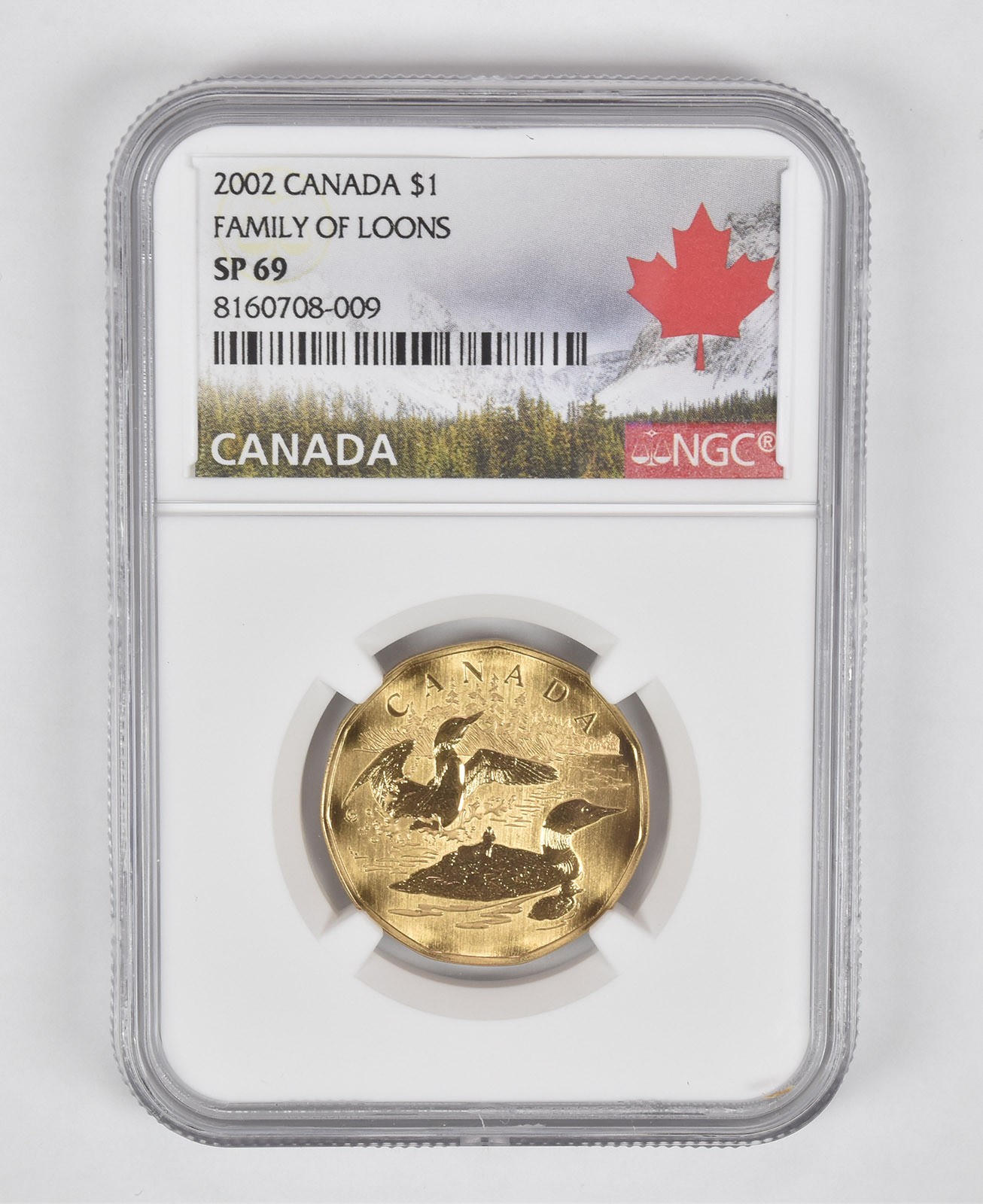 2002 Canada 1 Dollar Family Of Loons SP69 NGC Canada Label