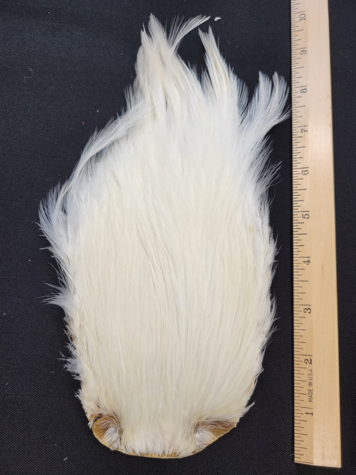 Lot 25,  Top Quality Dyed WHITE India Rooster Streamer Neck Cape Feathers