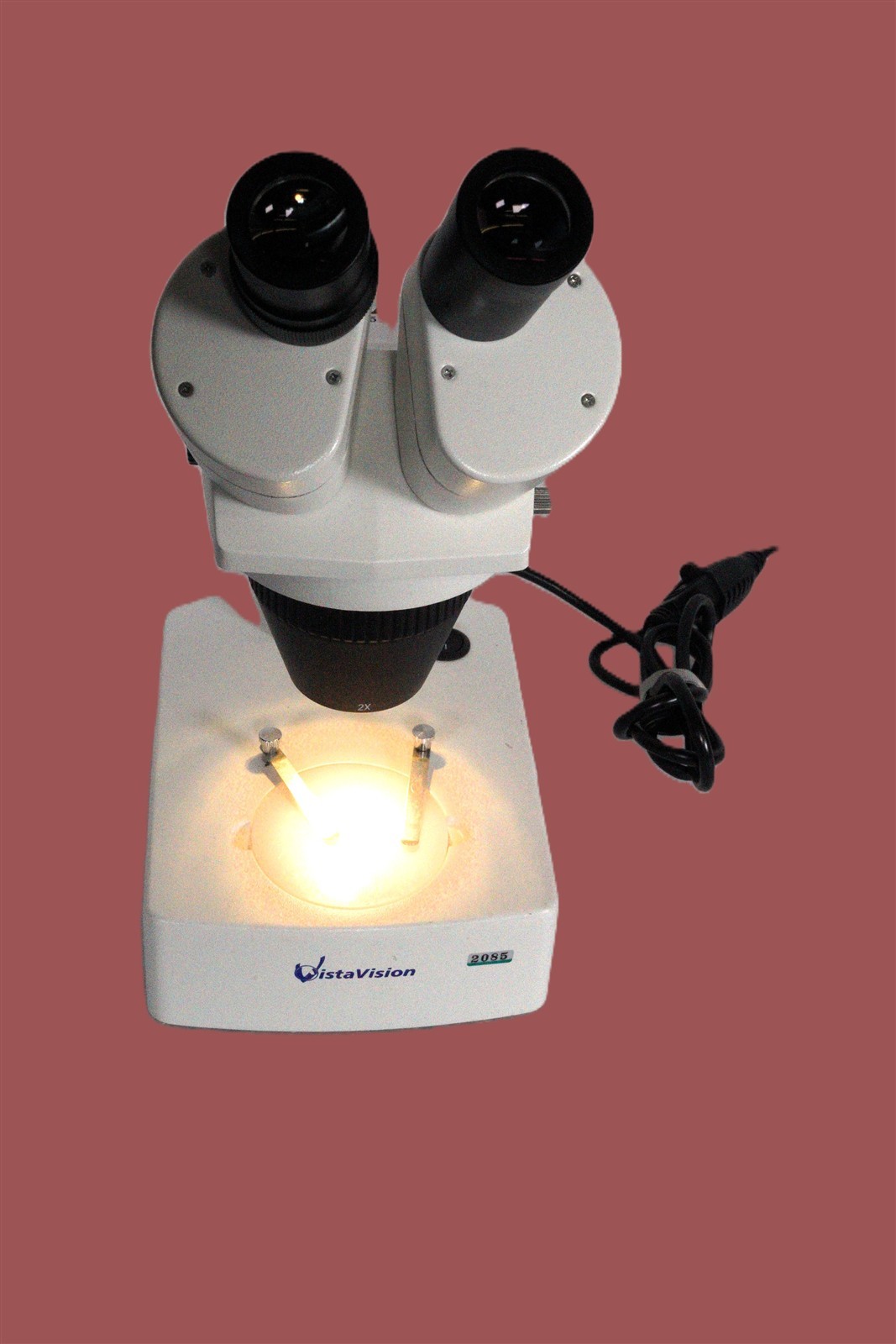 Vistavision Microscope, 2X and 4X Objectives, 10X Eyepieces, Dual Illumination