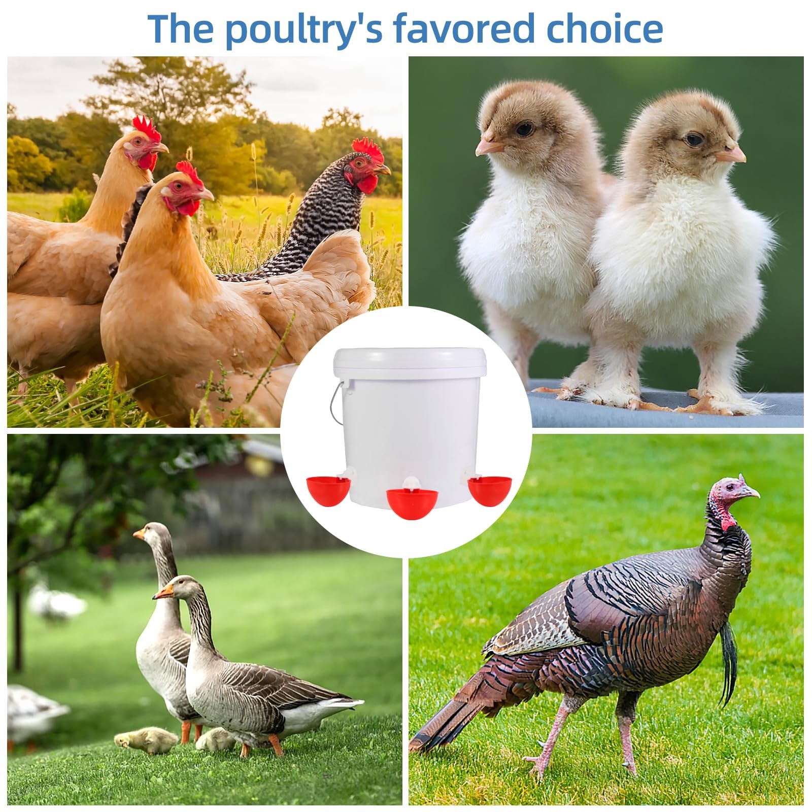 Automatic Chicken Waterer Cups,10 Pack Large Water Feeder, red