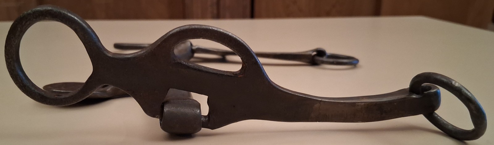 Adolph Bayers polo snaffle bit