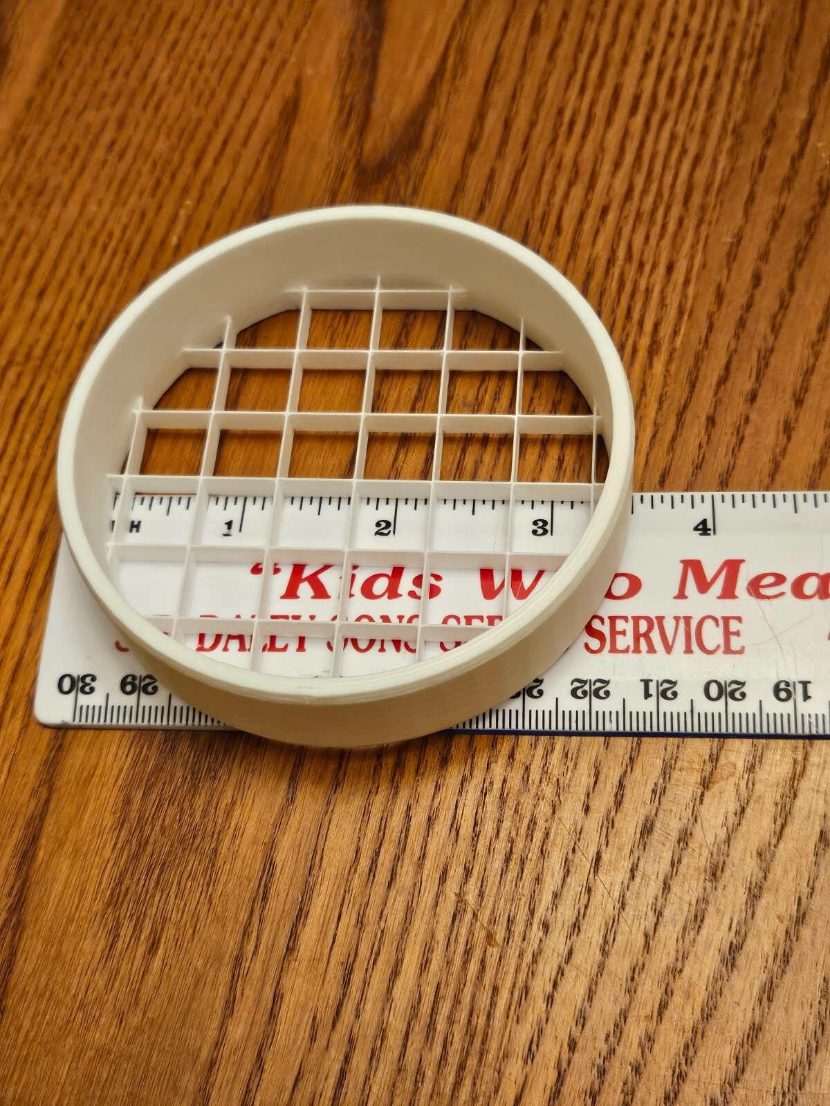 3" PVC Vent Termination, 3.50" OD, 1/2" Mesh Screen, All Plastic for 3" Fitting