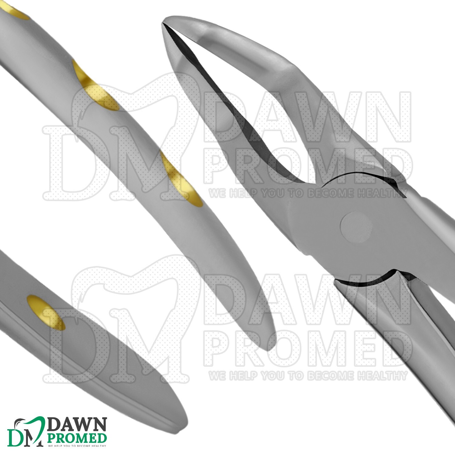 Dental Extracting Forceps #51Z Gold Hollow Python Grip Handle German Grade