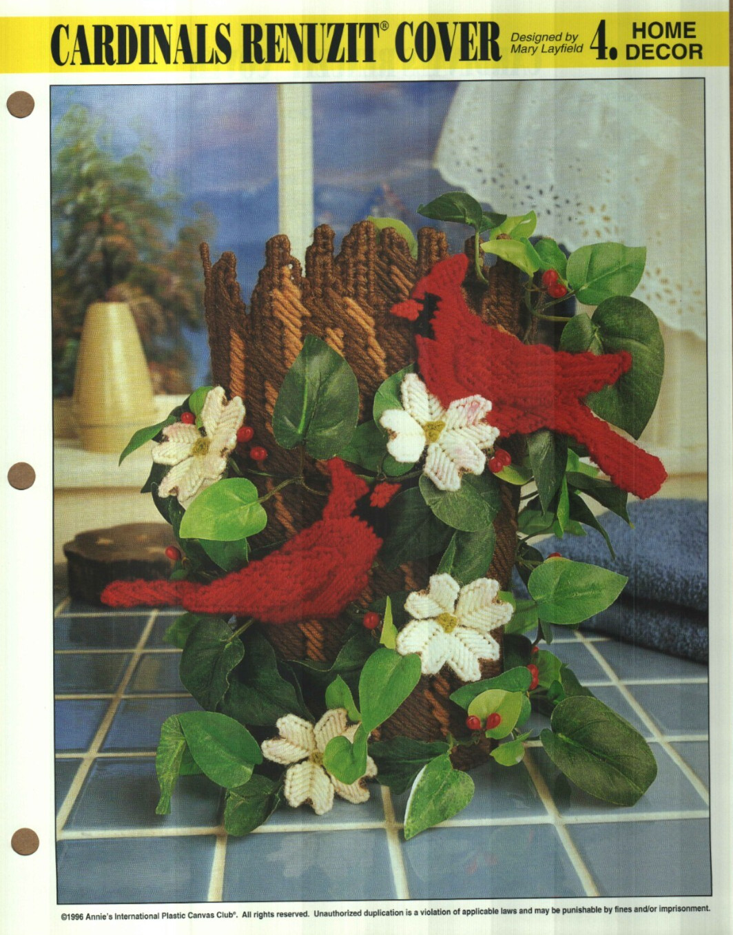 NEW CARDINALS RENUZIT COVER ANNIE'S PLASTIC CANVAS PATTERN INSTRUCTIONS HTF