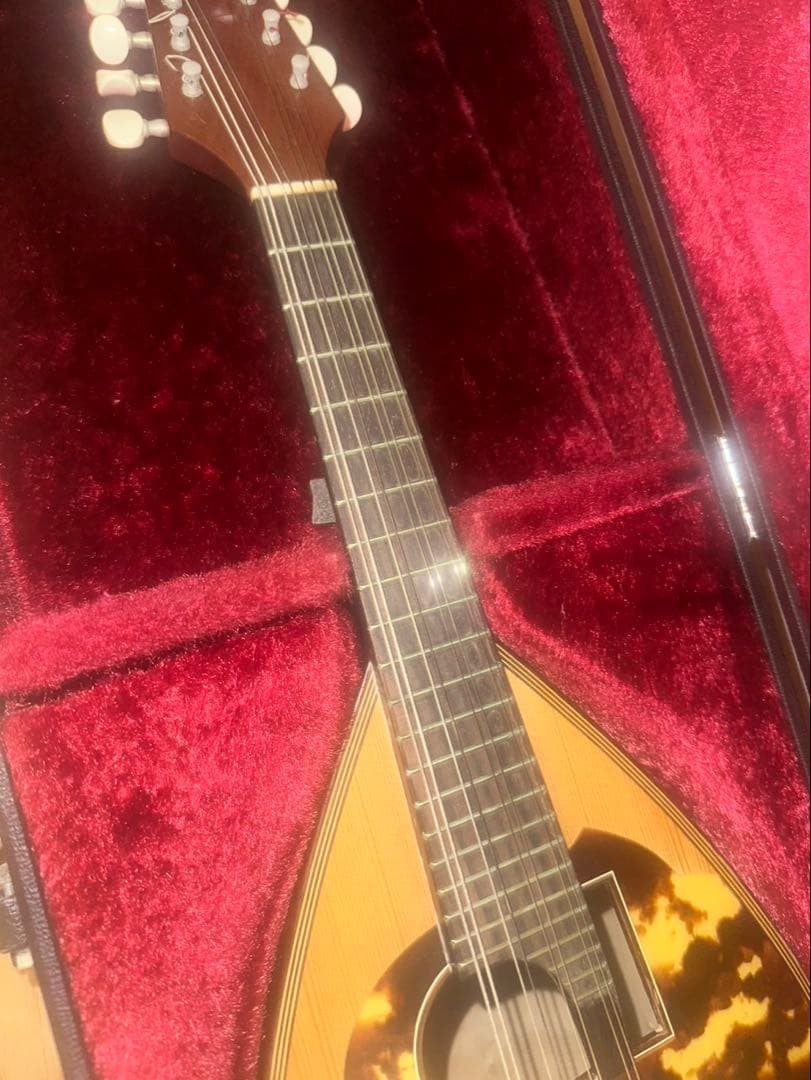 Minoru Noguchi Mandolin Manufactured in 1985