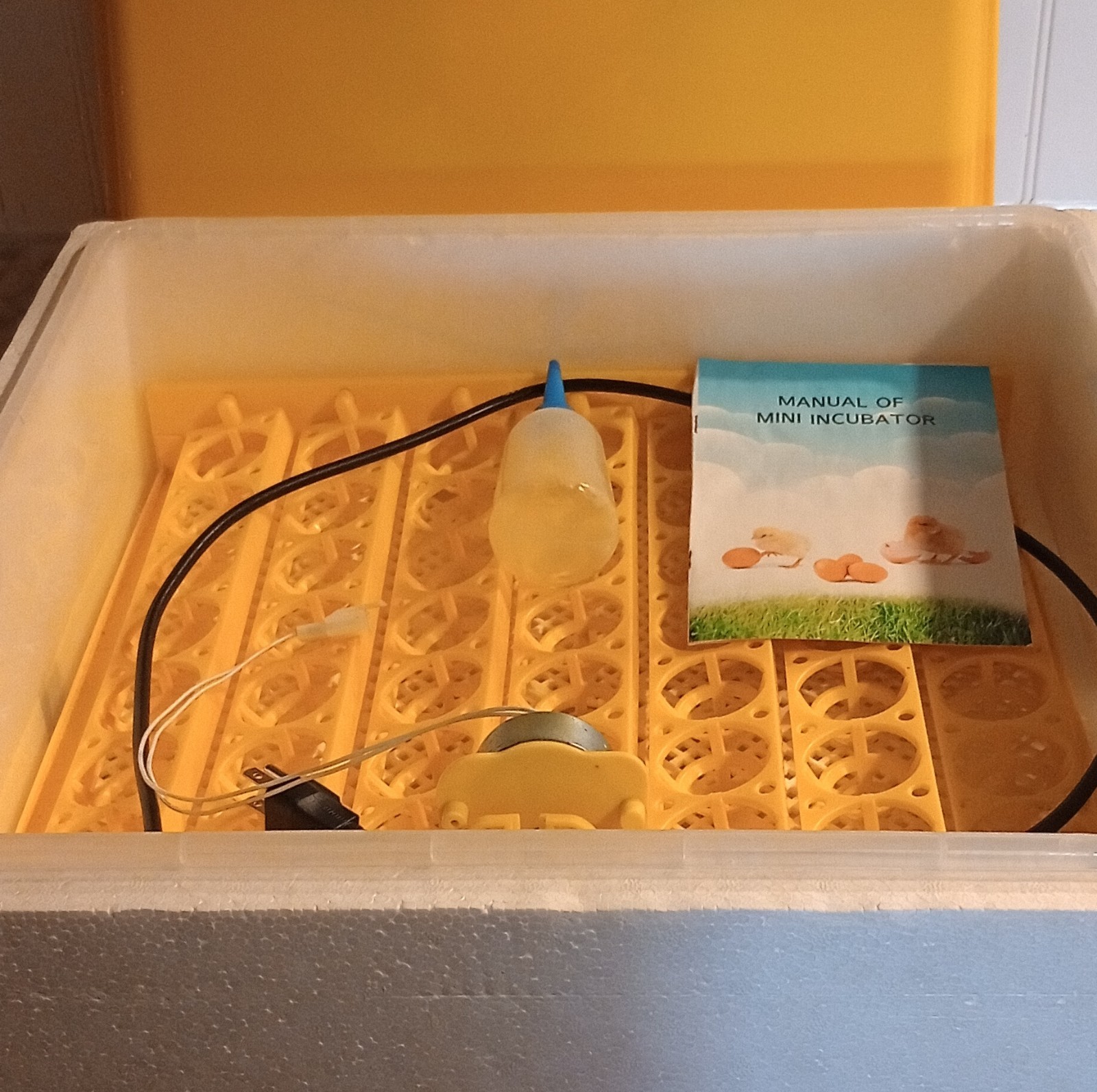 Yellow Digital Egg Incubator for Birds with Digital Display and Manual