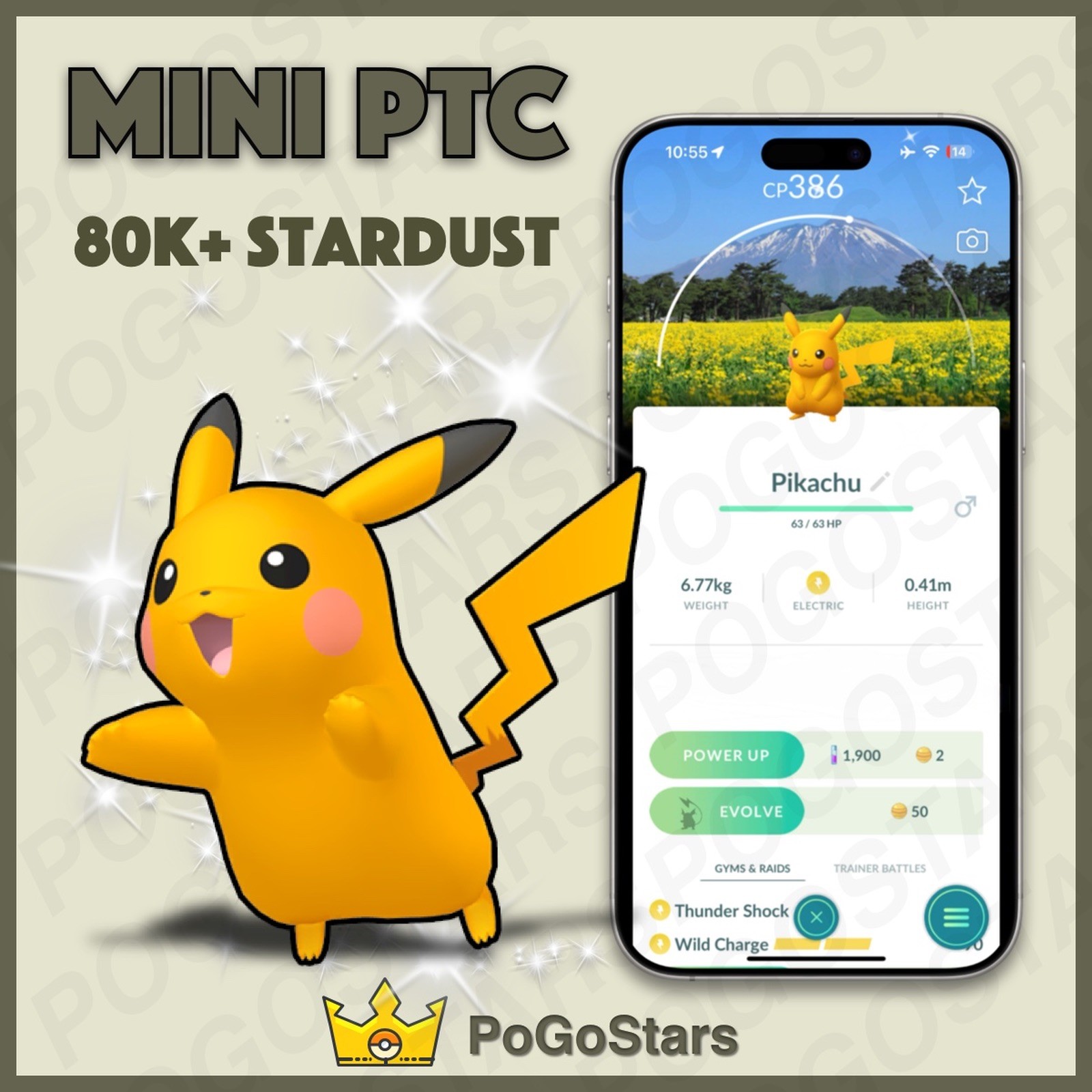 Pokémon PTC Go - Shiny Pikachu - Iwate Pokelids✨Special Background✨