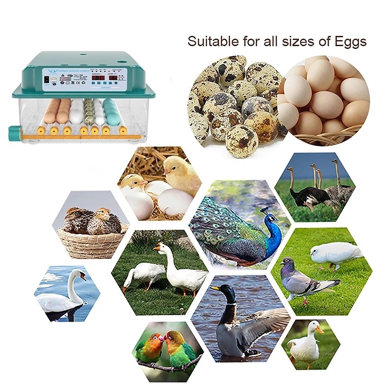 16/36 Eggs Incubator Digital Automatic Turner Hatcher Chicken Egg Temp Control