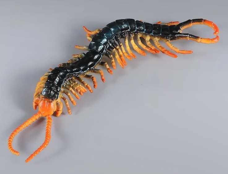 Centipede Insect Animal Toy PVC Action Figure Doll Kids Toys Party Gifts