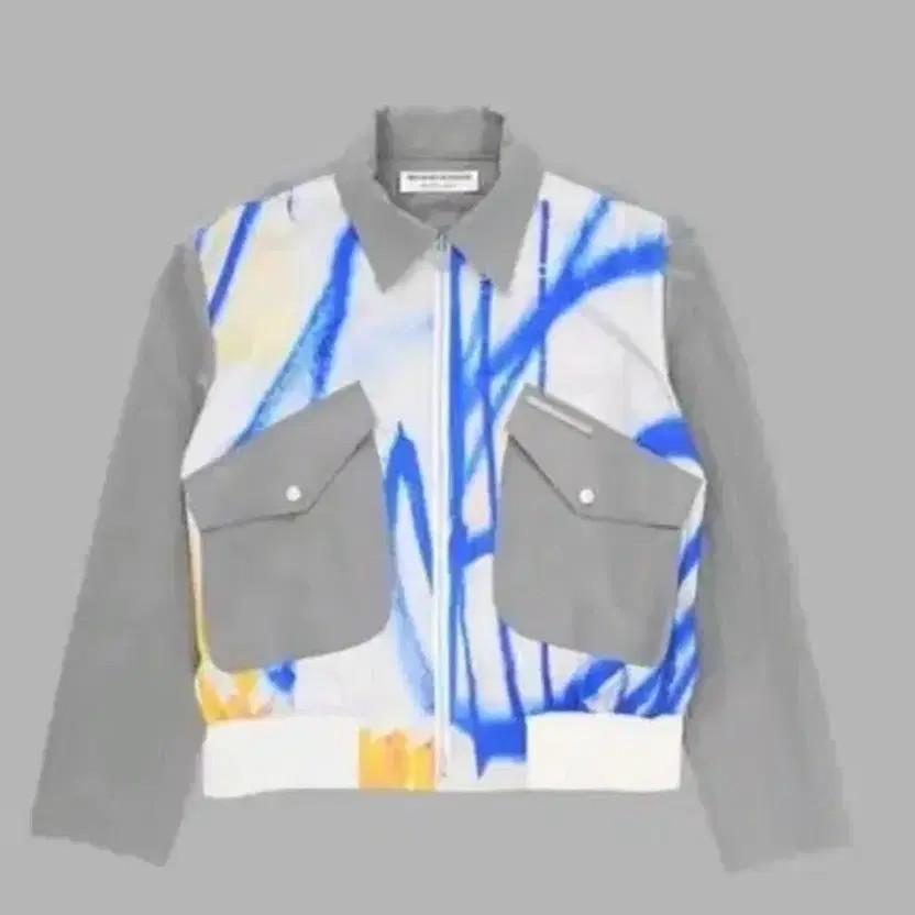 The Museum Visitor Painting Printed Nylon Jacket L