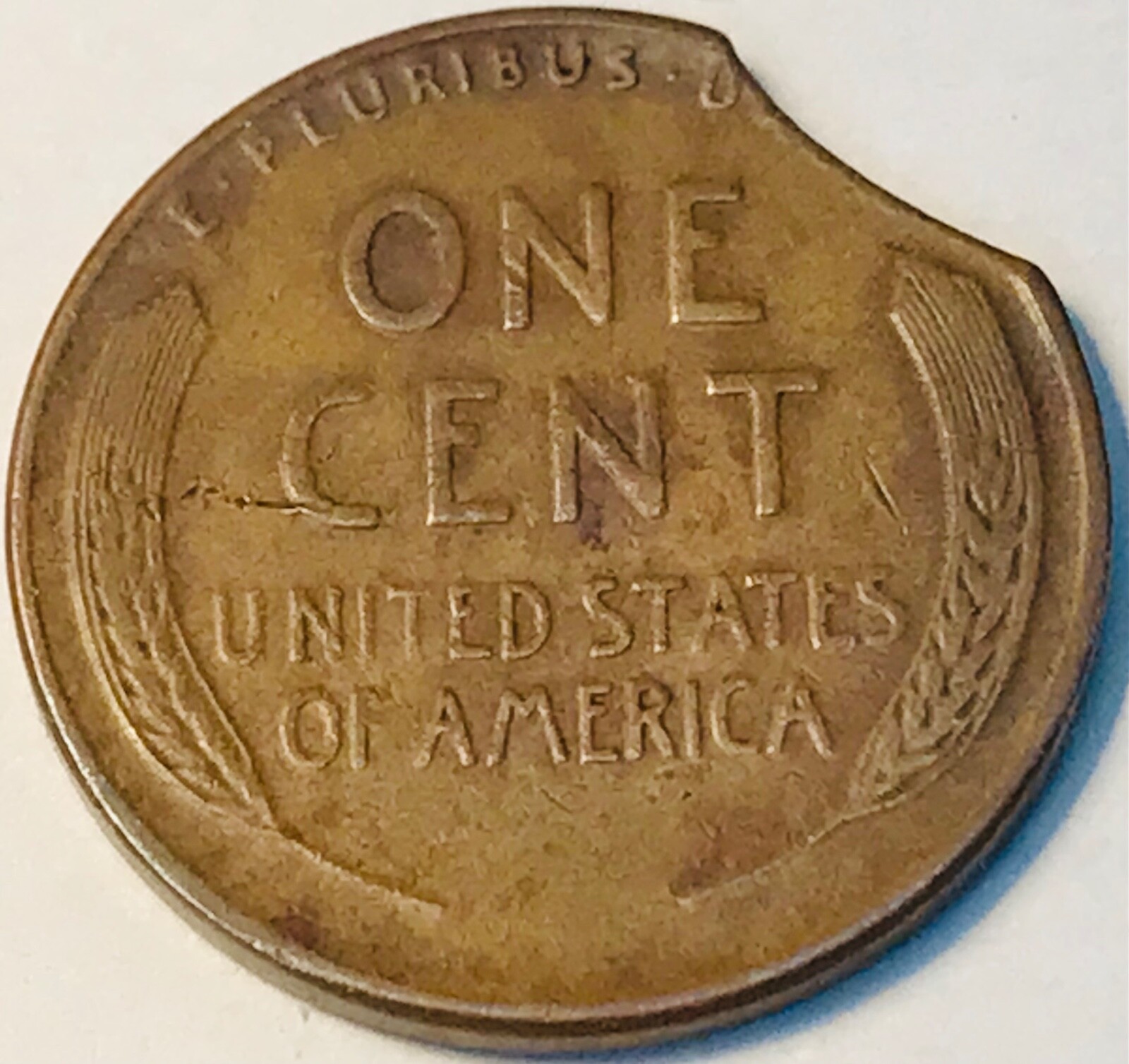 1944 Lincoln Wheat cent with curved clip
