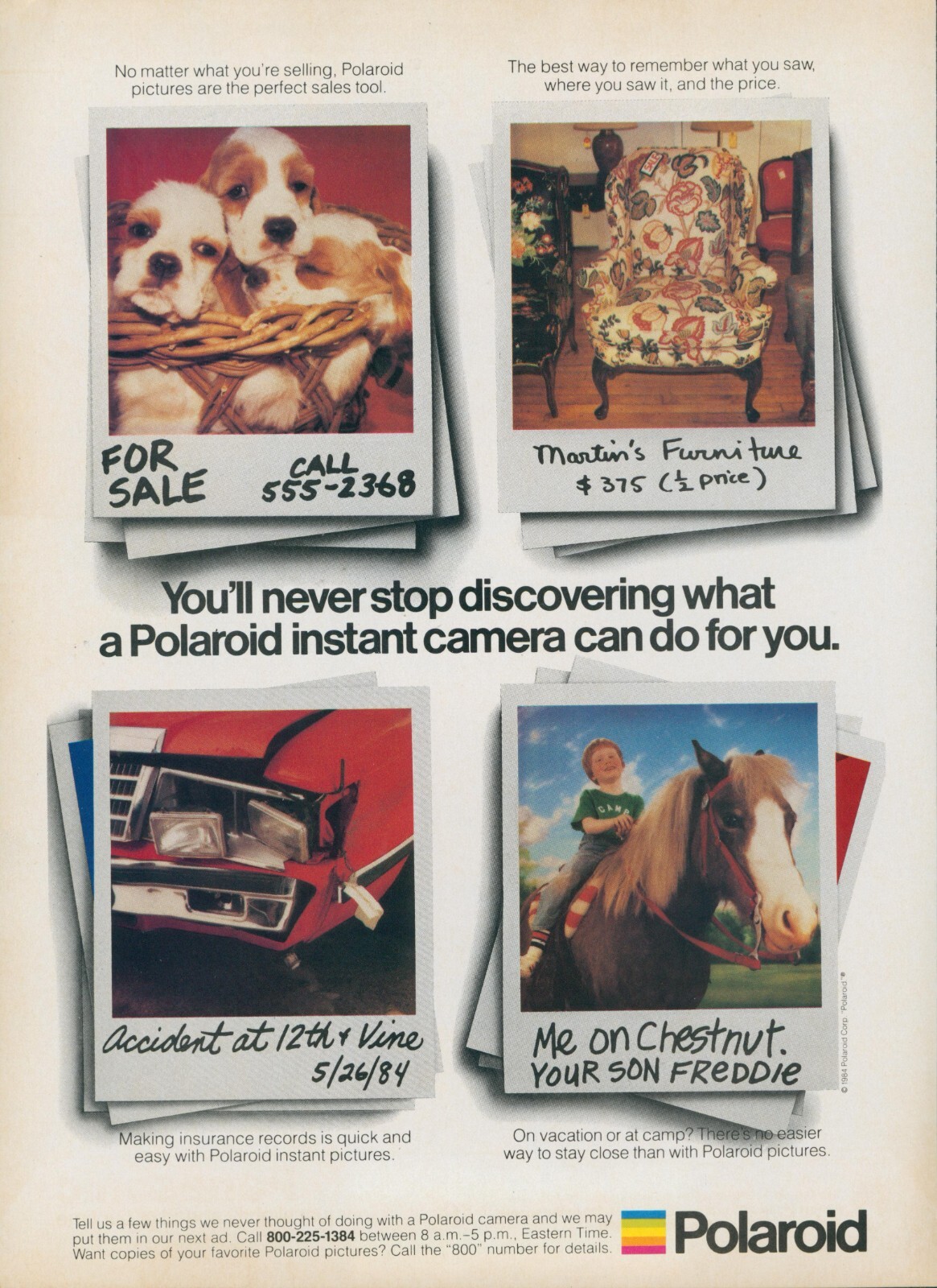 1984 Polaroid Cavalier King Charles Spaniel Puppy Dog Horse Vintage Print Ad SI7