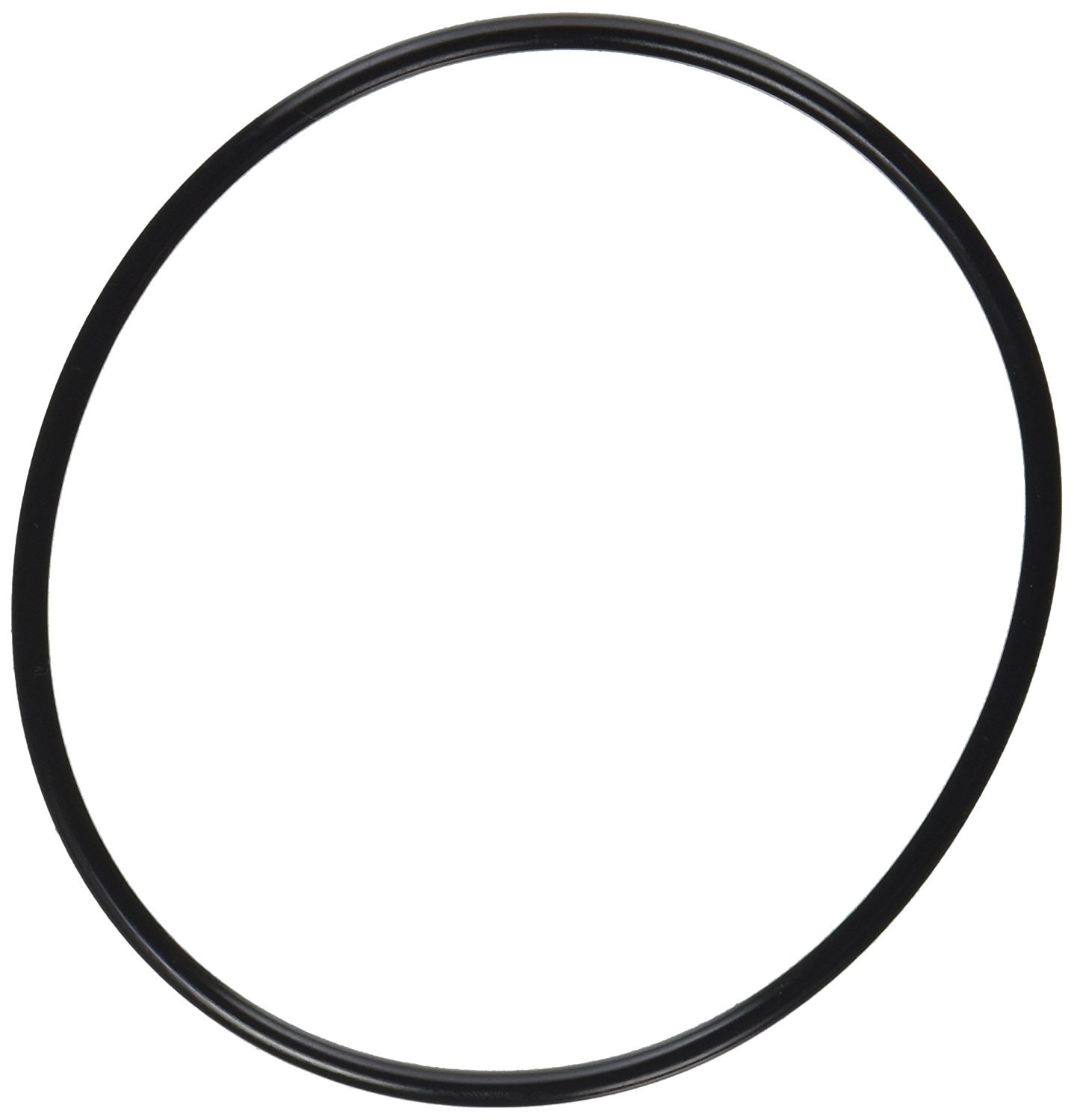 Pentair 357255 Lid O-Ring Replacement Pool and Spa Inground Pump