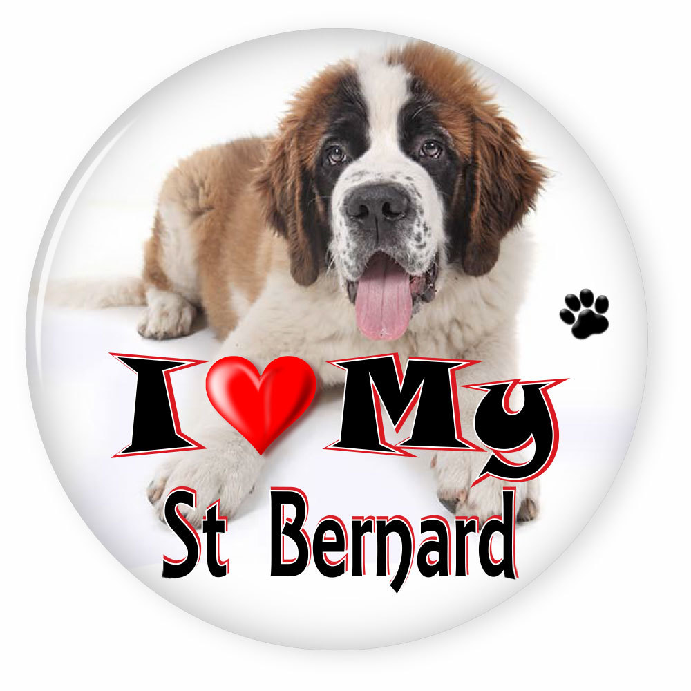 I LOVE MY SAINT BERNARD DOG PUPPY 3" SAFETY PIN BACK BUTTON