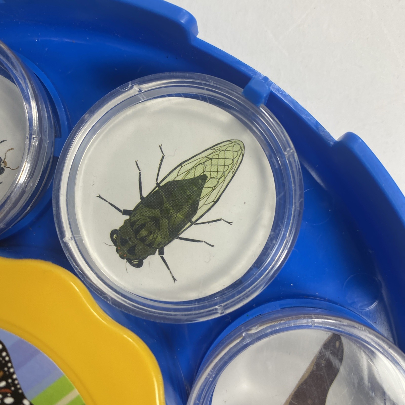 All Images Bug Viewing Kit By Kratt Brothers Ltd.