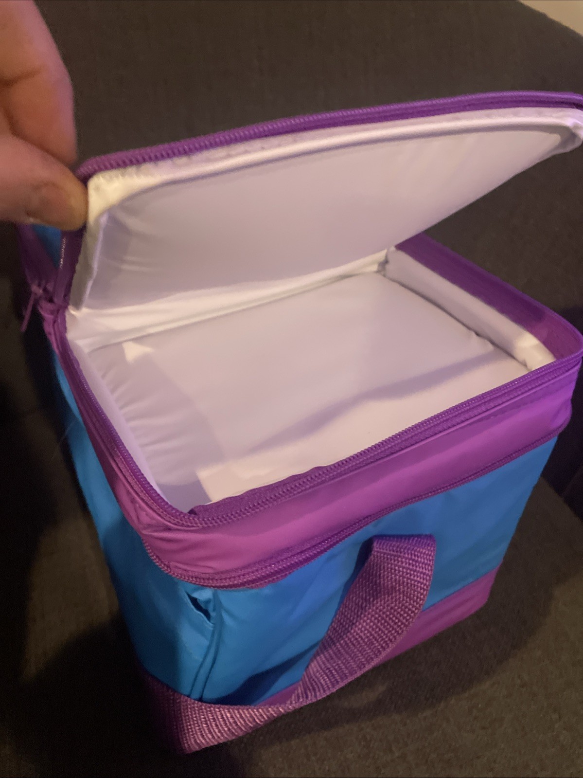 Igloo Collapsible And Cool Lunch Bag Cooler, Separate Snack And Sandwich Mint