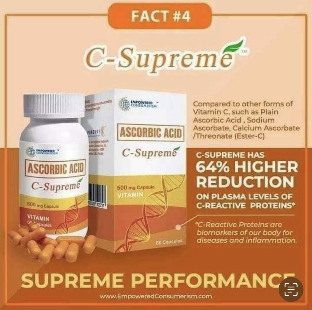 AIM GLOBAL C - SUPREME ASCORBIC ACID VITAMIN C 500mg (60 capsule)