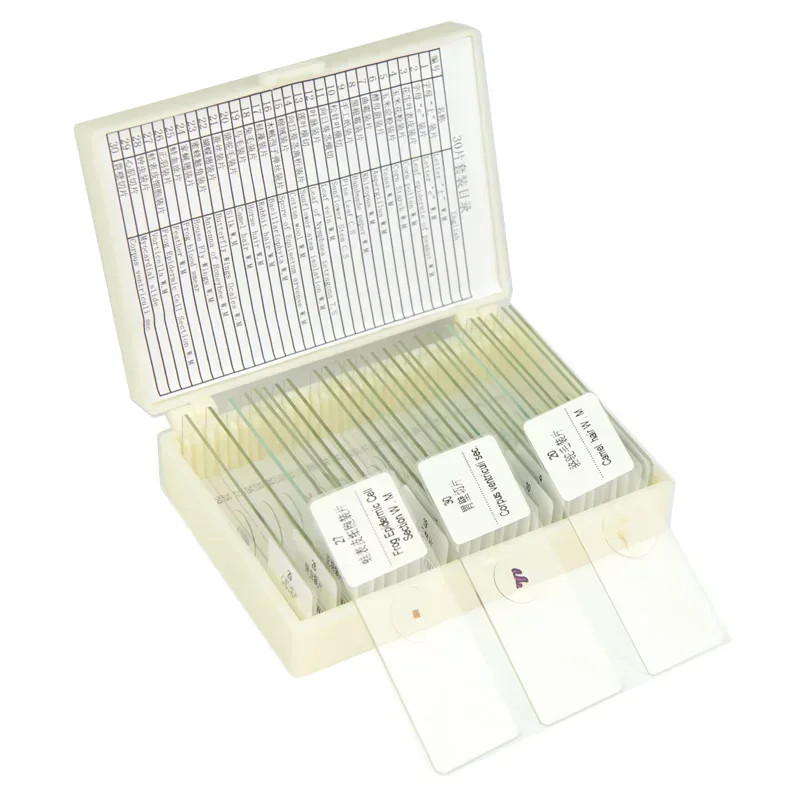 30PC Prepared Biological Basic Tissues Science Cover Slips Microscope Slides