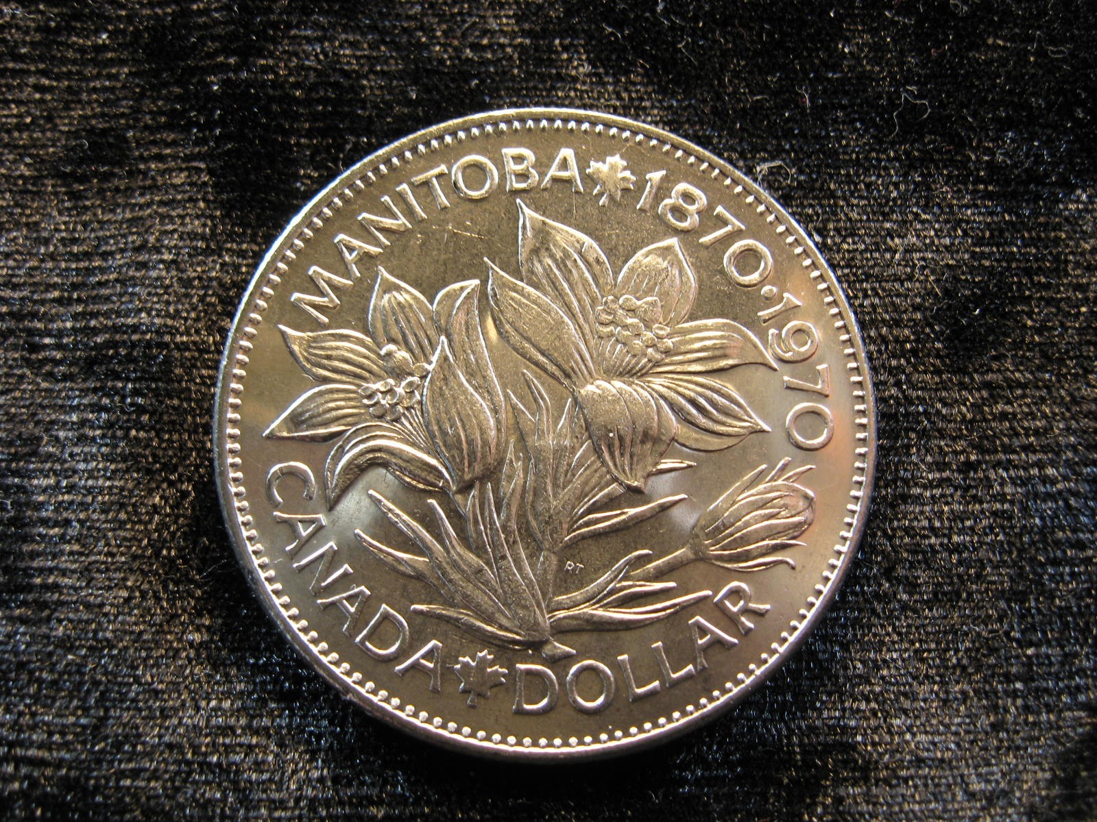 Large old world coin CANADA Manitoba dollar 1970 KM78 Prairie crocus flower 558