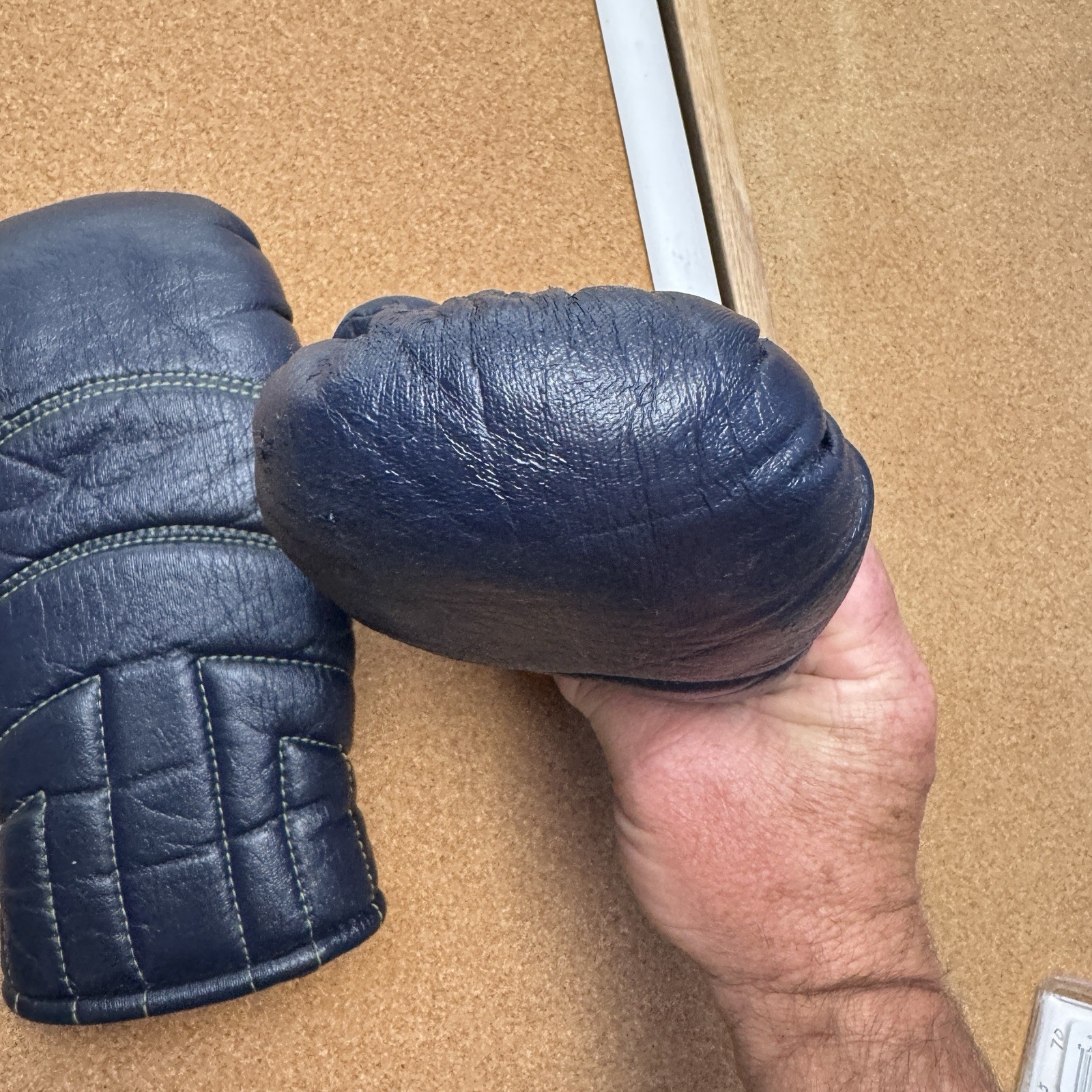 Aris mens snow gloves medium